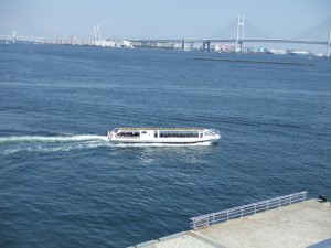 横浜シーバス