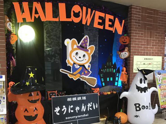 V0l.28　そうにゃんだいっ!(2016.10神奈川県藤沢市)