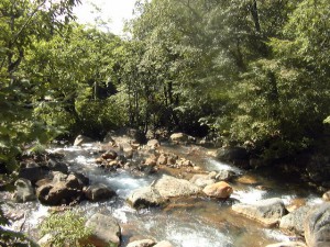 近くの川