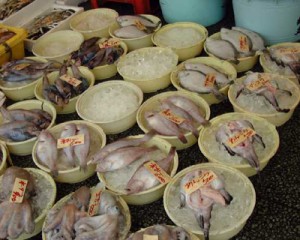 那珂湊お魚市場のお魚その2