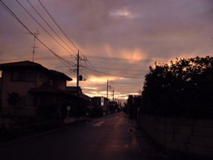 Vol.10「台風一過、幸手にて」<br />  (2003.8.9：埼玉県幸手市)